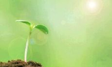 让我们一起感受生命的美好：收集正能量的赞美语句，激励你享受每一天的生活！