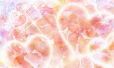 一篇浪漫诗意的文集：致吹风之美——优美句子分享