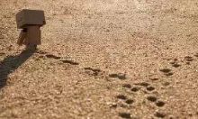 失望的感情让人难以承受，下面是几句能够表达这种失落和沮丧的说话：