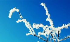 霜降季节经典句子和短语分享——让您的心情更加舒畅