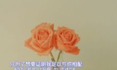 抖音上风靡一时的小众情话:温柔如神仙的文案,火速走红!