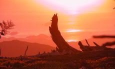 ，但你永远不会忘记那里的人情味和生活气息