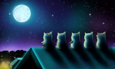 中秋佳节：赏月时刻汇聚的具有魅力与美感的句子集锦