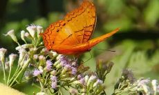 天气的变幻莫测，问候短信不可或缺