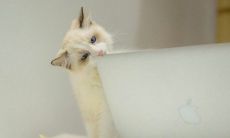 女孩子勤奋努力，成为优秀人生赢家的励志句子，激励女生追求个人成长与进步