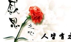 从内心发起的感恩,让生活更加美好