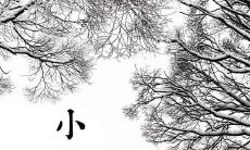 一些关于小寒的描述和句子,让你更深入了解这个节气的特点和文化背景