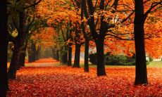 独具文化魅力的经典句子，用美丽的文字赞美着我们伟大祖国！