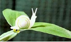 如何通过正能量句子来塑造积极心态并改善生活质量?