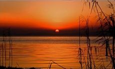 分享一些关于生活的感悟,表达内心的情感和心情