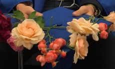 探寻四季之美:收集了一系列优美好听的宝藏短句