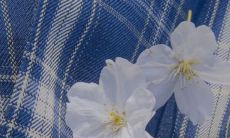 分享三观超正的言论集合,让你重新审视生活世界的美好与真理