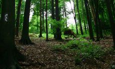 在夏季周末用短信向客户问候的良好商业习惯