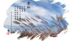 展现思秋恋人的深情思念之情的长句子汇总