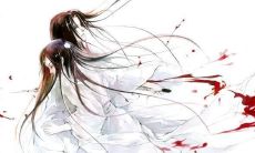 探寻古风美句，领略华美文化之美