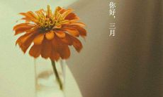 三月新春祈愿:满载唯美句子和瑰丽画面,二月谢幕三月开启!