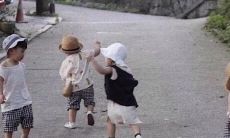 罕见珍品：收藏家必备的经典句子合集