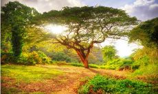 精选的优美关于生命的名言和寓意深刻的格言，启迪我们的心灵和价值观念