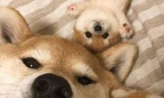 一系列生动而兴奋的语句，立体地表达了开心和兴奋的感觉