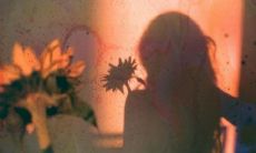 暗恋的秘密：一种温柔的礼貌，它能保持纯洁和真诚，即使没有回应