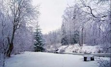 Winter Solstice - The Finest Time to Offer Your Heartfelt Wishes and Blessings.