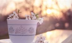 工作和家庭之间的平衡:工作与亲情的平衡是同等重要的,无论您身在何处或做什么!