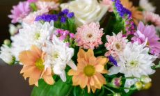 探究友情的真谛:深刻而令人感悟的句子与心得体会