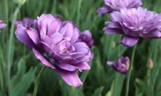 从一个朋友到另一个：探索友情失落的句子和表达，当我们不得不面对“说散就散”的现实时如何处理？