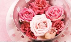 友情能否代替财富？财富是否比友情更具价值？探讨财富与友情的价值观分歧！