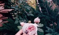 2022年度销售团队激励口号: 打破极限，突破壁垒，挑战未来，共创辉煌！