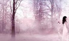 慵懒哀伤的言辞:一个展现内心矛盾的情感句子集合