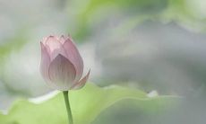 安静的心灵发现错别字的重要性