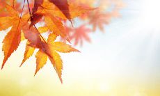 当生活中遭遇挫折，内心烦躁时，可借助以下语句来缓解情绪