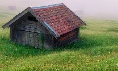 亲情心碎的30句话:痛彻心扉、令人泪奔的亲情断裂与失落感表达