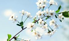 表达内心情感的亲情短语——分享感悟,倾诉心声