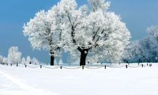 寒冬季节中，凝结着瑰丽诗情的飘逸诗句