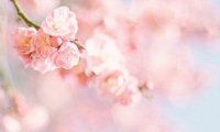 拥有一切却无法感受快乐的深刻体验