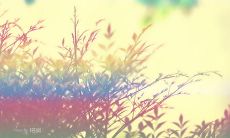 分享心情——盘点霸气的亲情句子