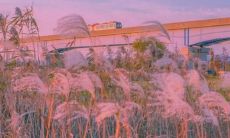 有什么短句子适合在我朋友圈分享,吸引更多的关注和点赞?