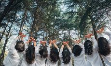 分享一些表达心情,避免失去友情的话语