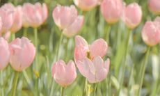 收藏或分享朋友圈的最佳选择:45个绝妙短句供你选择!