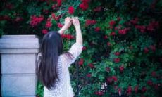 探究婚姻中丈夫失望、心寒的现象与感受，以及想离婚的心情的表述