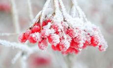 分享一些令人愉快的句子,让你在霜降时刻发朋友圈更有趣