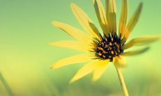 20字以内的标题：感激神奇，值得铭记！