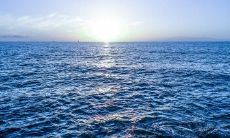 用现实句子诠释亲情,表达内心真实感受