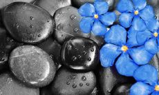 简单到极致的亲情,不值一提的话语——再思考亲情的真正价值