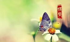 描写惊蛰春季的经典古诗：一首沉醉人心的赞歌