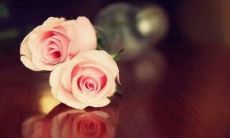 汇集了各类鼓舞人心、激发向上进取精神的儿童励志格言座右铭总览