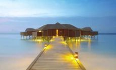 调查发现年轻人普遍缺乏人际关系，导致情感孤独感和社交焦虑，给心理健康带来严重影响