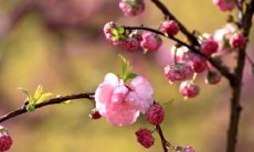 如何发送肛肠疾病问候短信：简单几步轻松解决发送难题